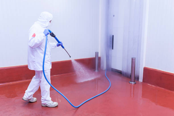 Professional  Pressure Washing Services in Lawrenceburg, TN